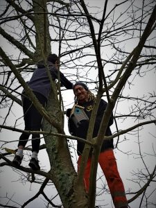 Pose Du Nichoir Dans Un Arbre